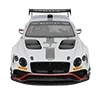 Bentley Continental GT3 ACC Setups