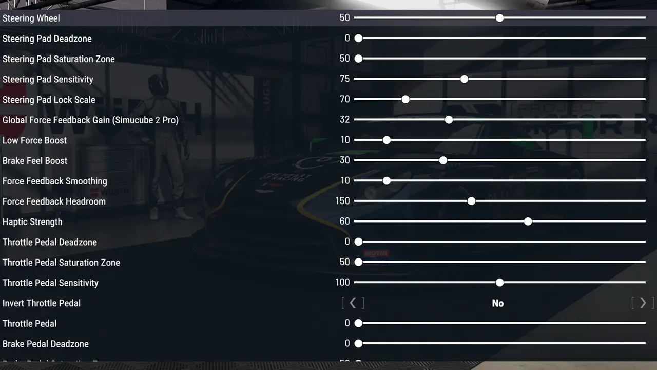 Project Motor Racing Force feedback settings